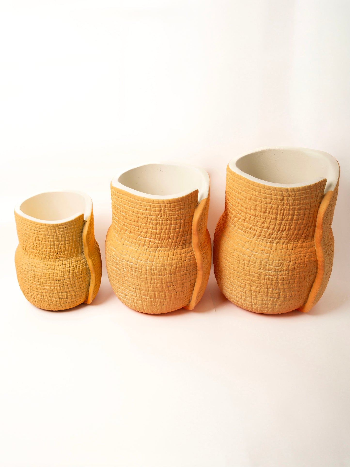 The bloom vase