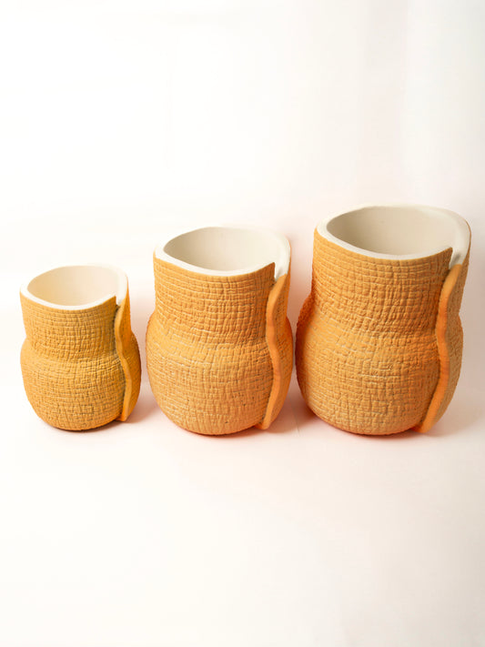 The bloom vase